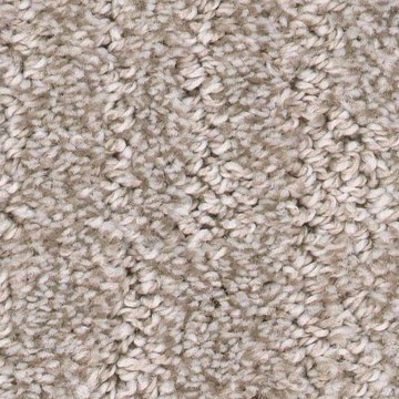 Carpet | Plains Floor & Window Covering