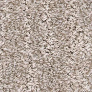 carpet_fl (1)